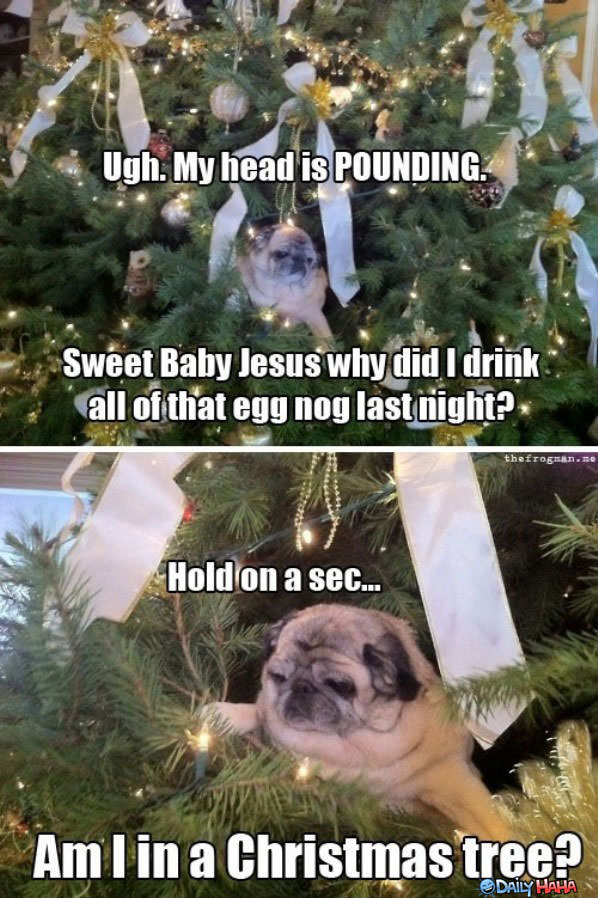 Wasted Christmas funny picture