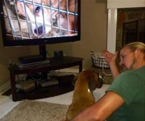 watch this funny picture