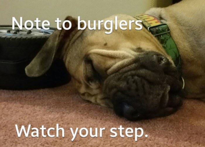 watch your step funny picture