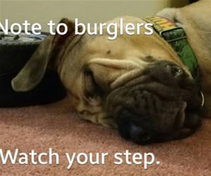 watch your step funny picture