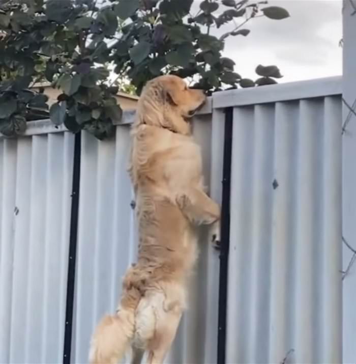 watcha got over there