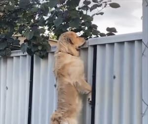 watcha got over there