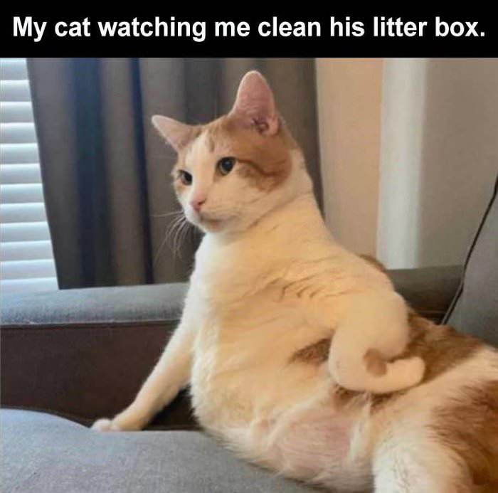 watching me clean it up