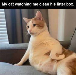 watching me clean it up