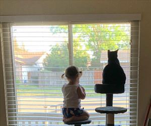 watching outside