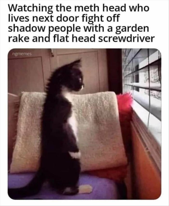 watching the meth head