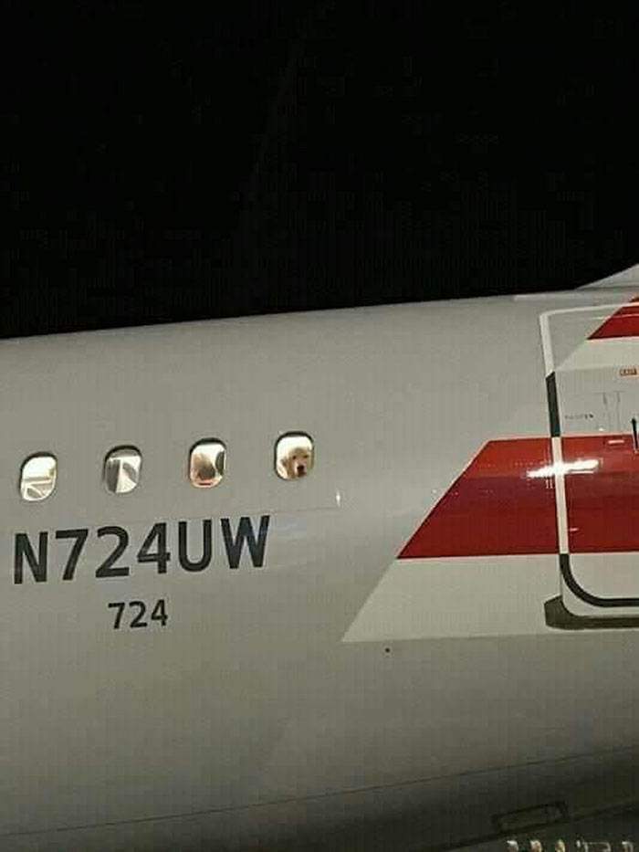 watching them pull away