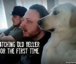 watching old yeller funny picture