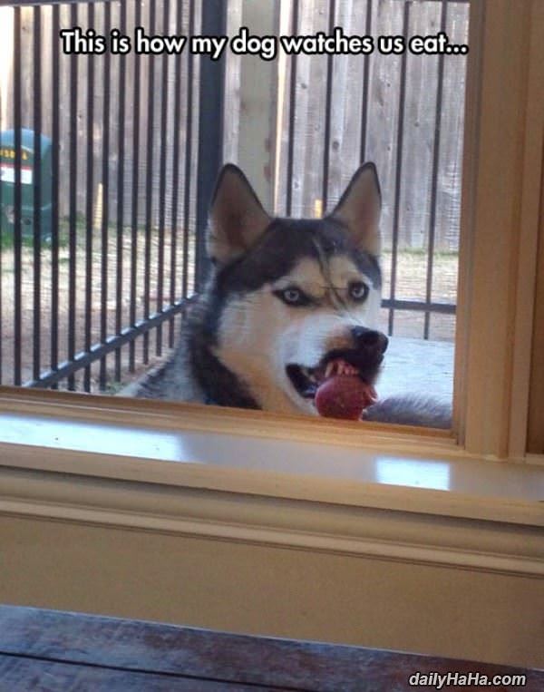 watching you funny picture