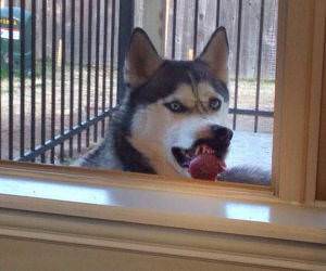 watching you funny picture