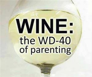 wd40 of parenting funny picture