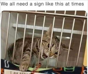 we all need this sign