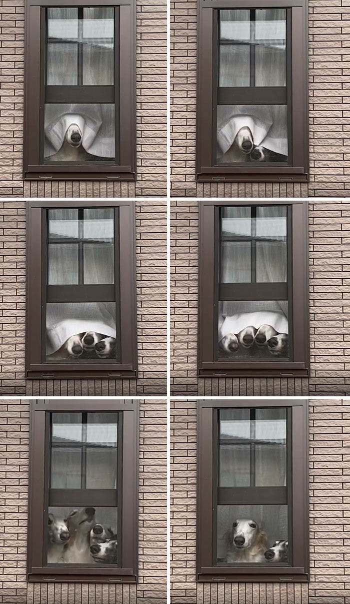 we are all watching you