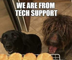 we are from tech support