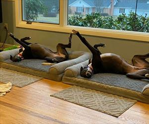 we are twins this way