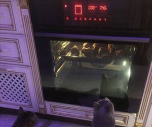 we need this snack please