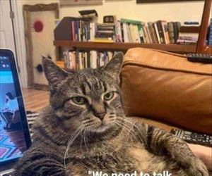 we need to talk karen