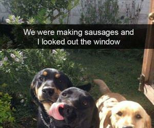 we were making sausages