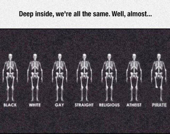 we are all the same funny picture