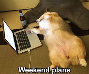 weekend plans funny picture