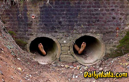 Wouldnt want to be him or her