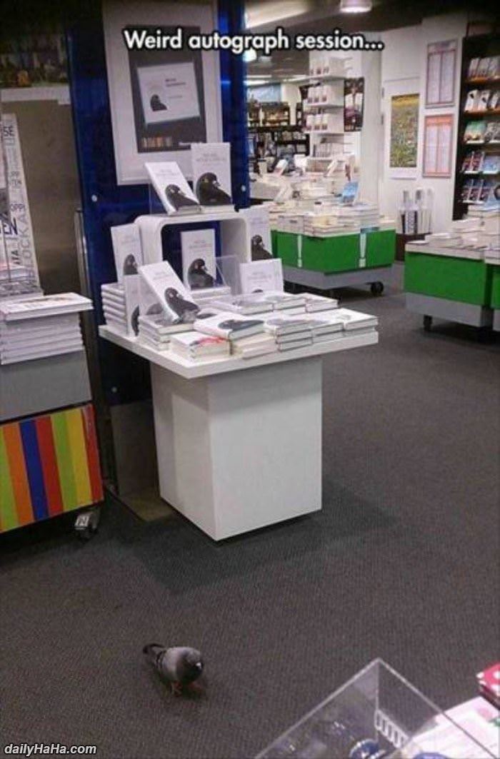 weird autograph funny picture