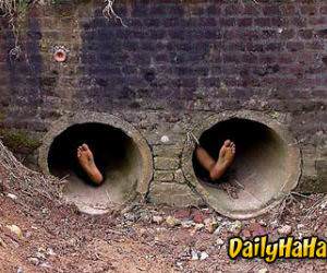 Wouldnt want to be him or her