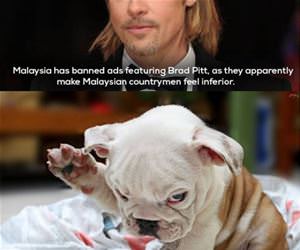 weird things that are banned funny picture