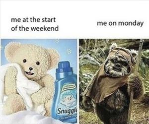 welcome back to monday