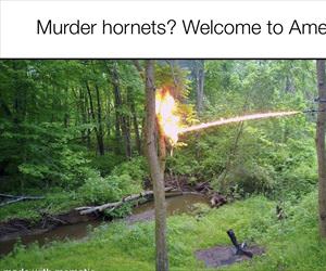 welcome to america ... 2