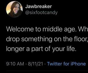 welcome to the middle age