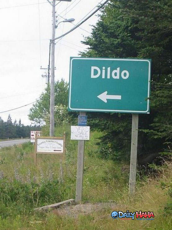 Welcome to dildo