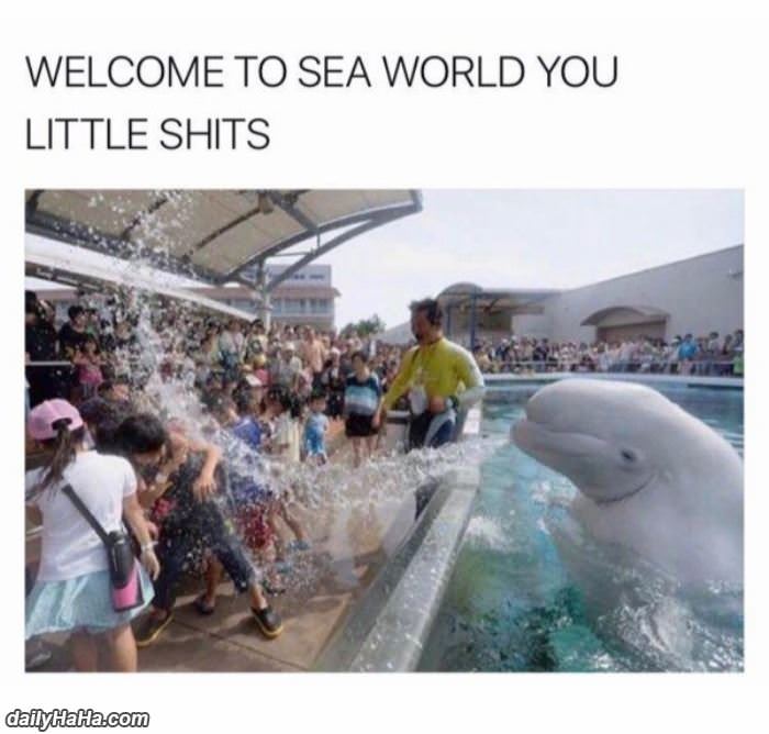 welcome to sea world funny picture