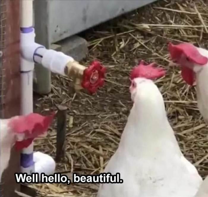 well hello there ... 2