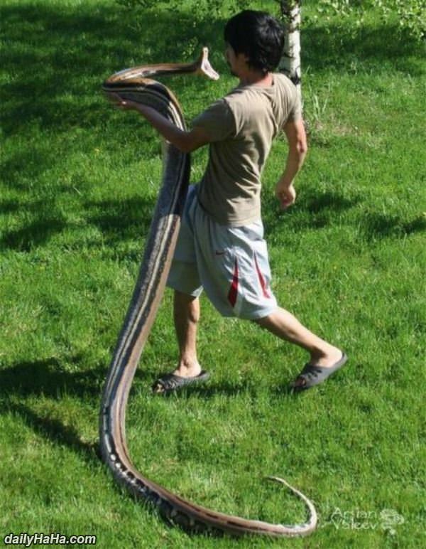 well hello funny picture