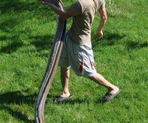 well hello funny picture