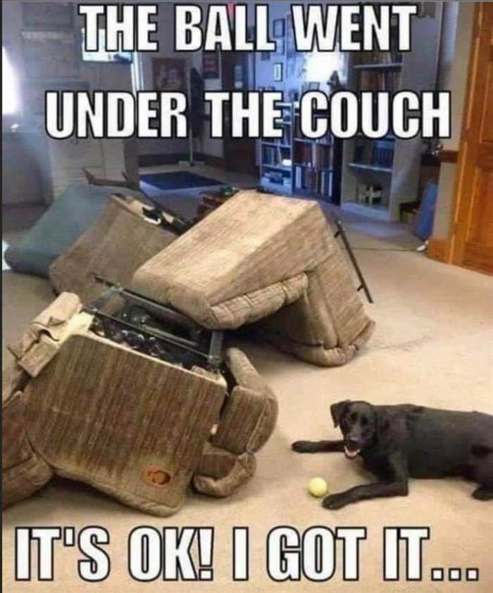 went under the couch
