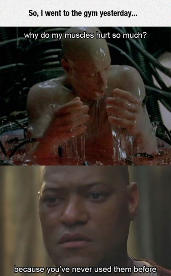 went to the gym today funny picture