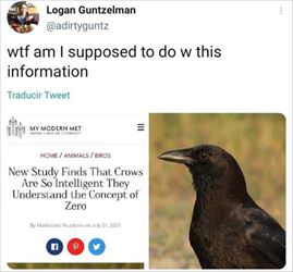 what am i supposed to do ... 2