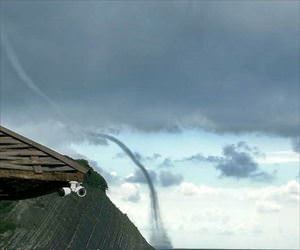 what an amazing sight