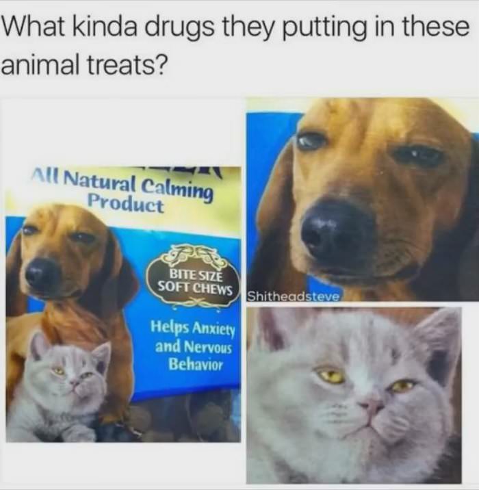 what are they putting in them