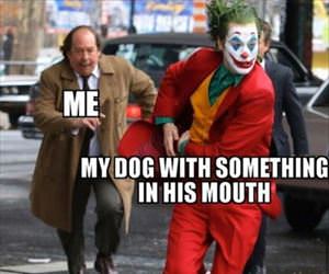 what are you chewing on