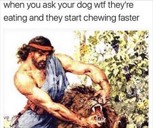 what are you eating right now