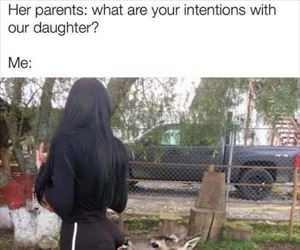 what are your intentions