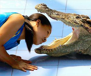 what do we have here