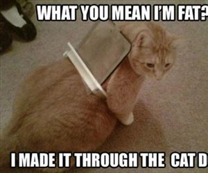 what do you mean ... 2