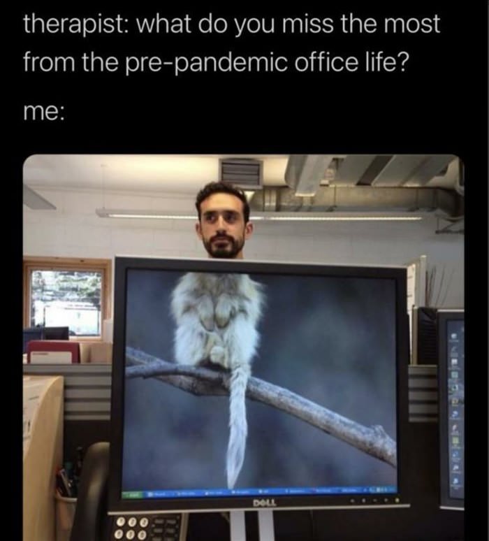 what do you miss most ... 2