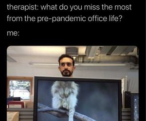 what do you miss most ... 2