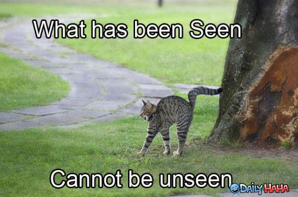 What Has Been Seen funny picture