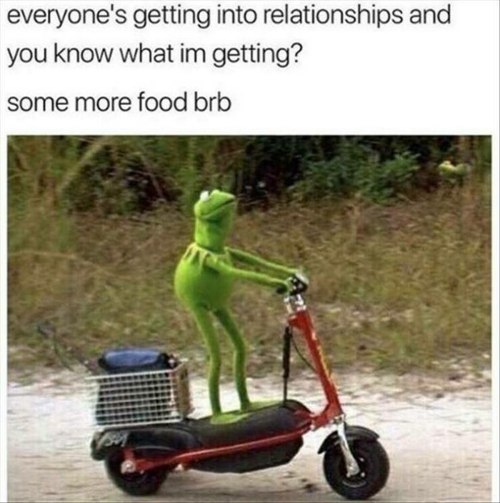 what i am getting into